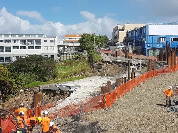 Danielle Grant Rawene Carpark Slip