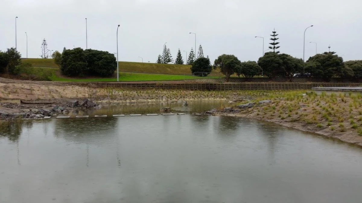 Wairau Wetlands
