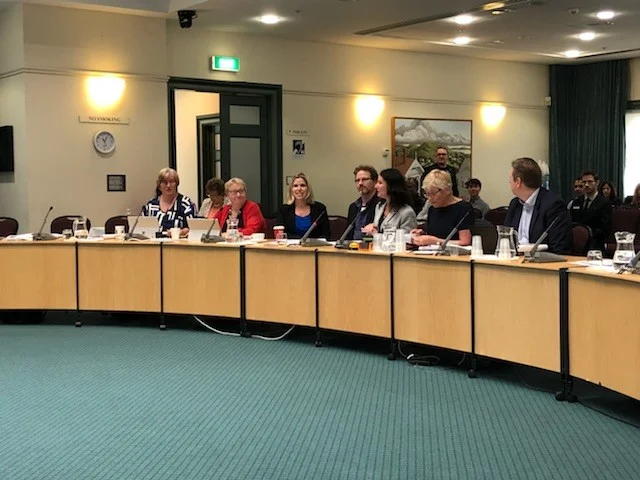 Danielle Grant Chairs Report November 2017