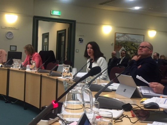 Danielle Grant Chairs Report August 2017