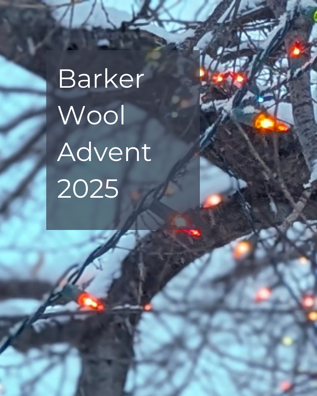Barker Wool Advent 2025.png