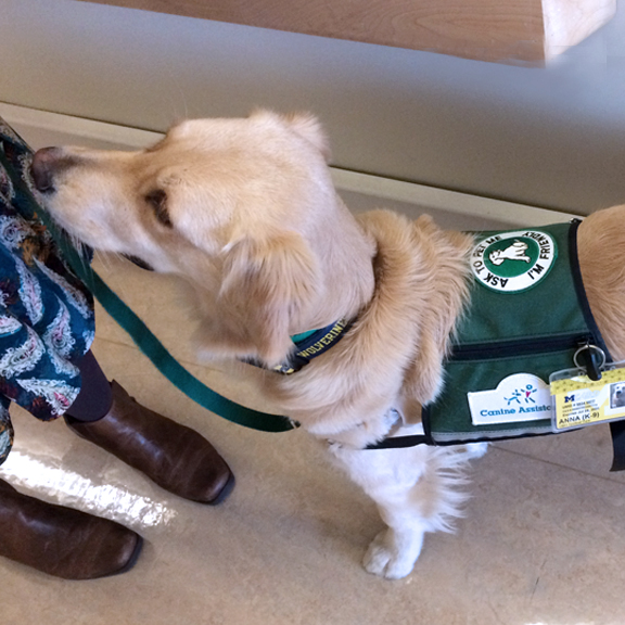Shadowed a therapy dog through her day making patient vists.
