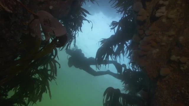 Happy Birthday Wester Ross Marine Protected Area
