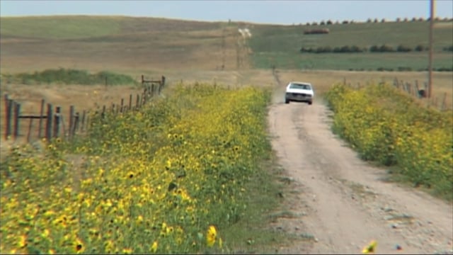 Sundance Chief Homer Whitelance