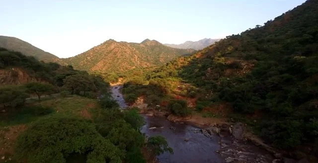 Nancy A One Girl Revolution