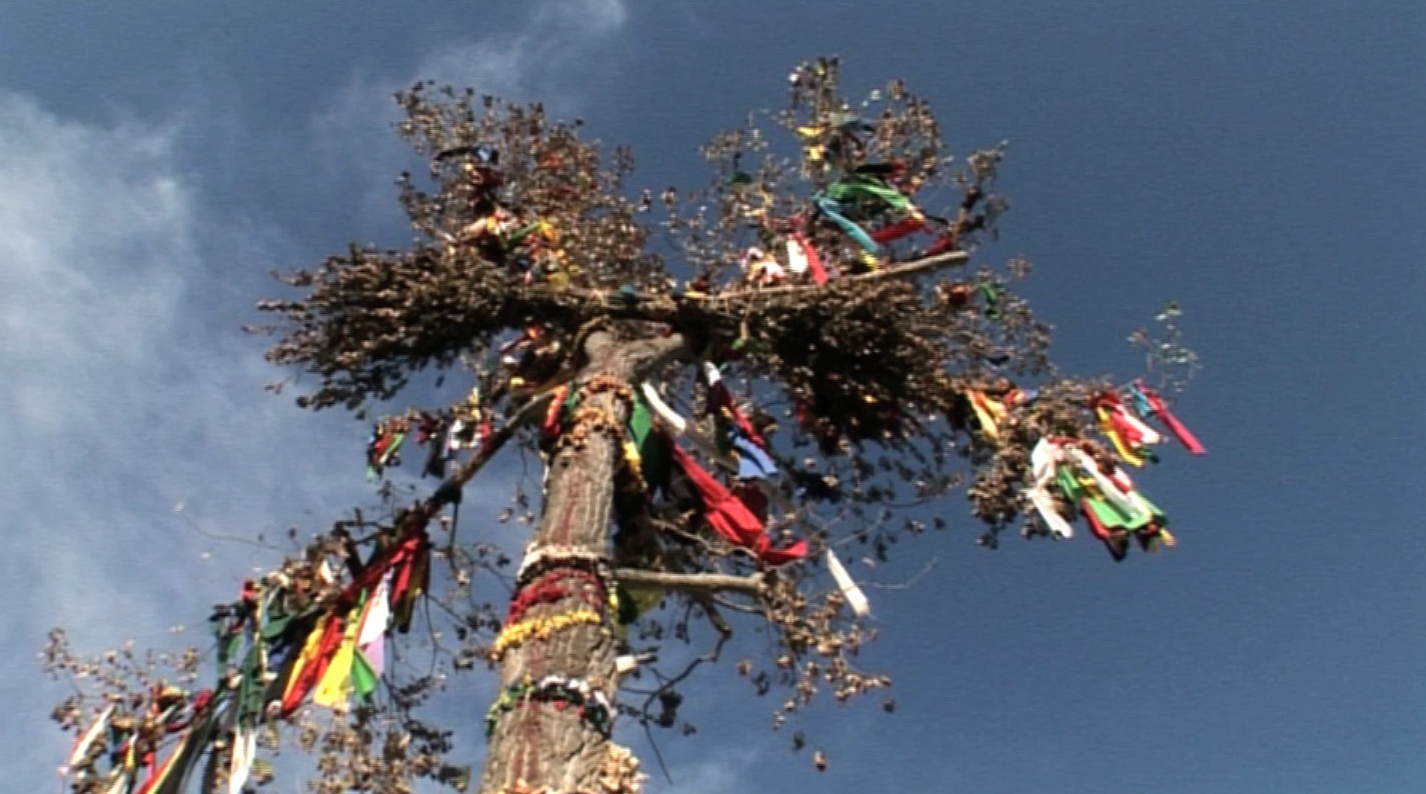 The Tree of Life 1 xxxx.png