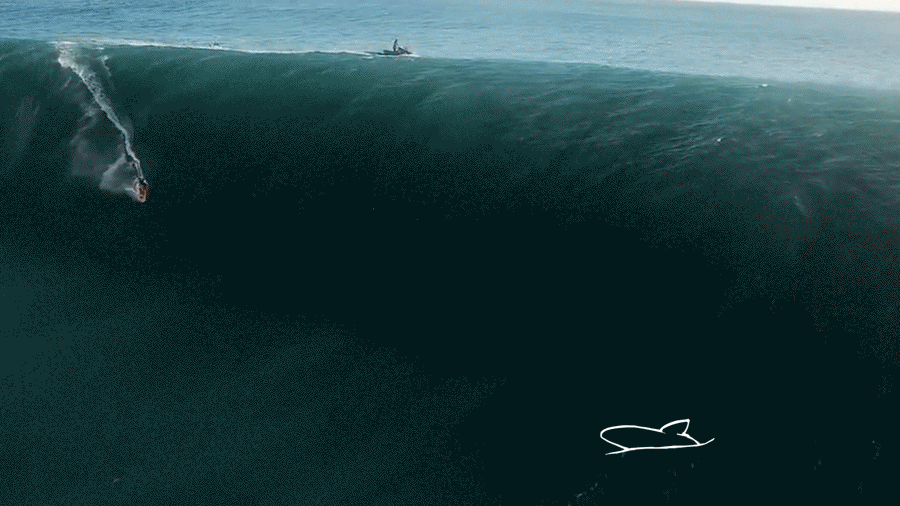 surfed_V01.gif