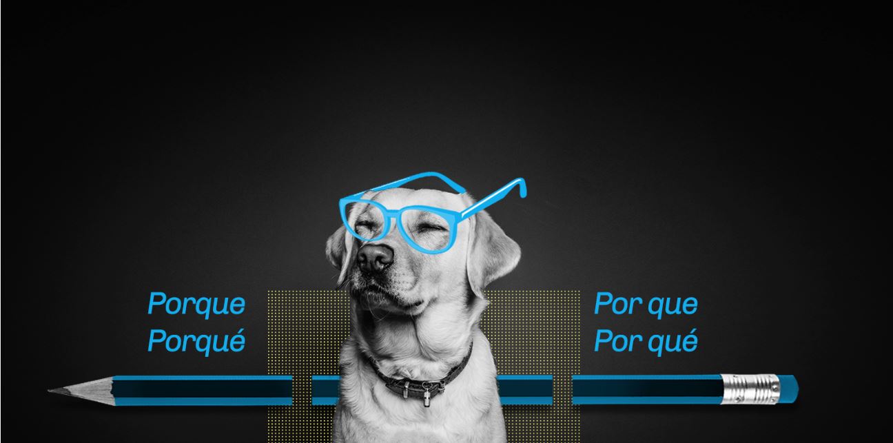 Diseño de cursos interactivos