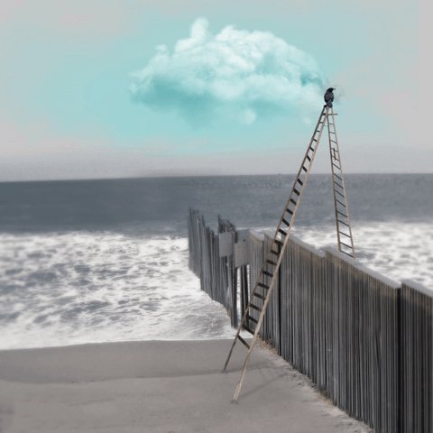 The Border