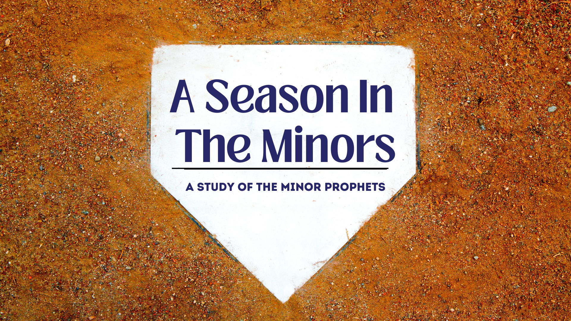 A Season In The Minors