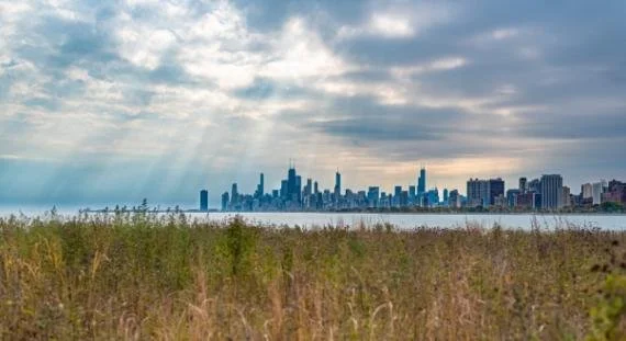 Chicago Picnic at Montrose Beach (August)