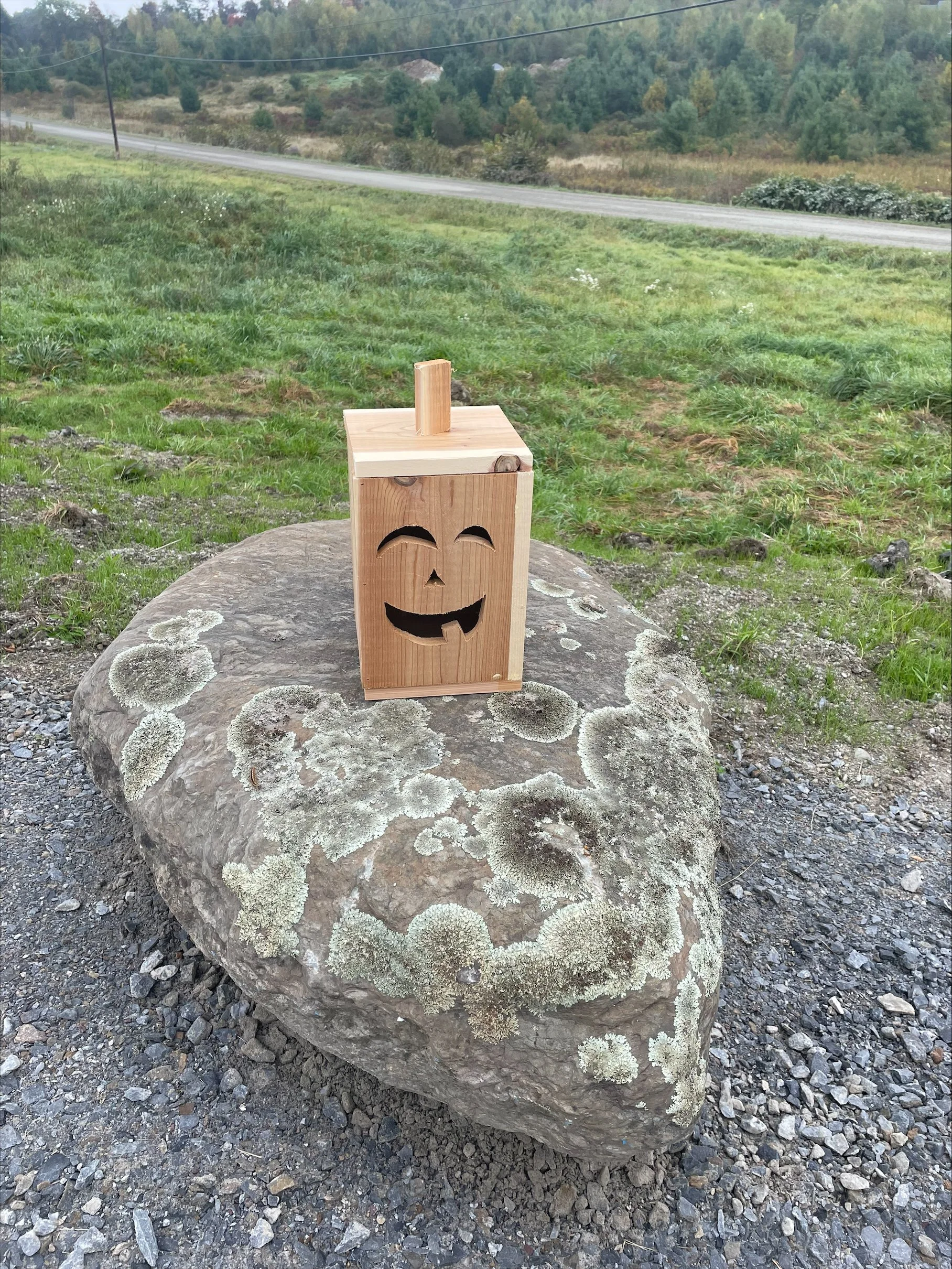 Vermont Halloween Pumpkin Workshop