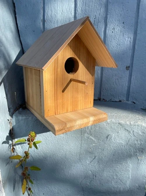 New York: Birdhouse Workshop (March)