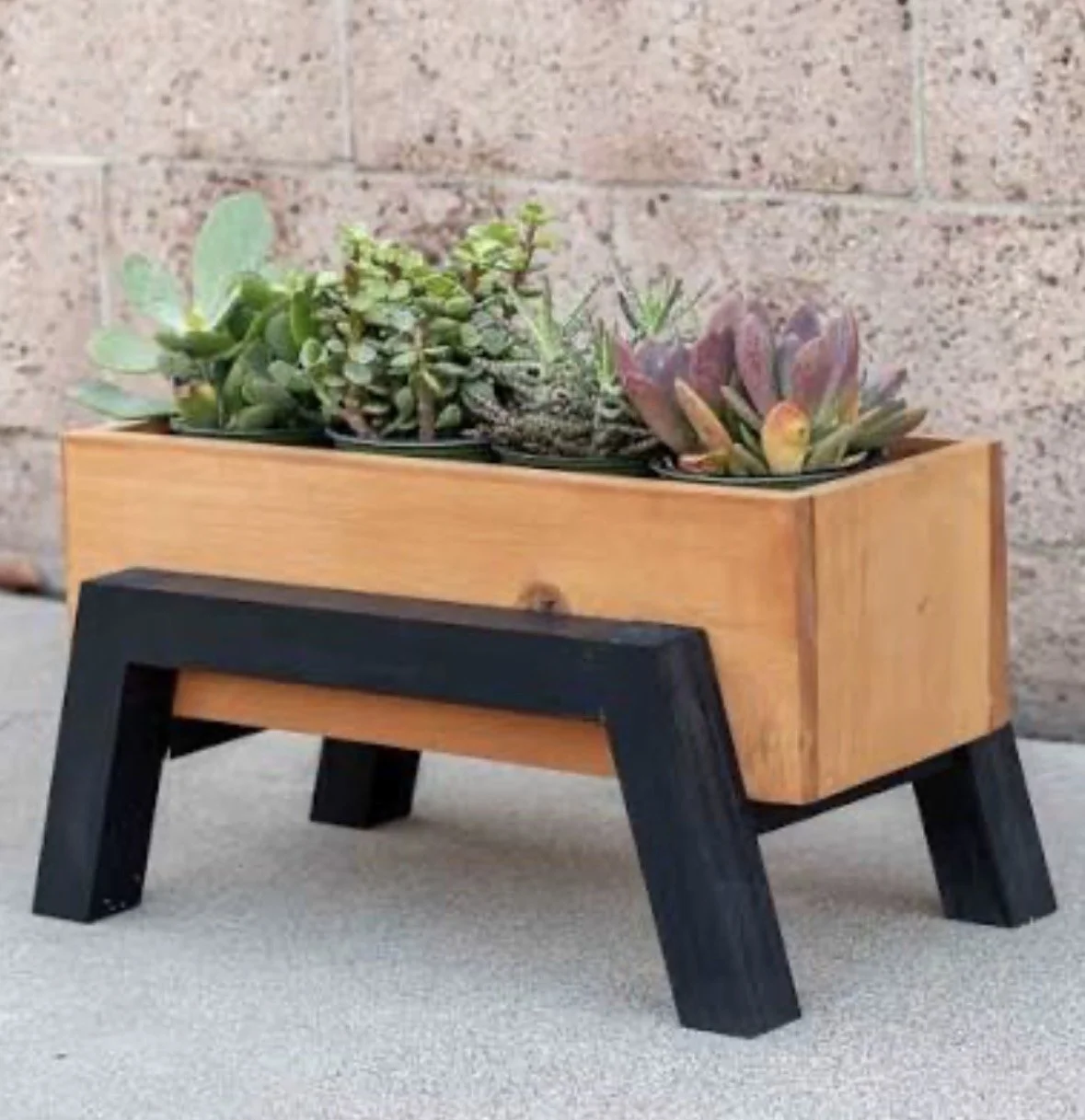Alameda: Planter Box Workshop (November)