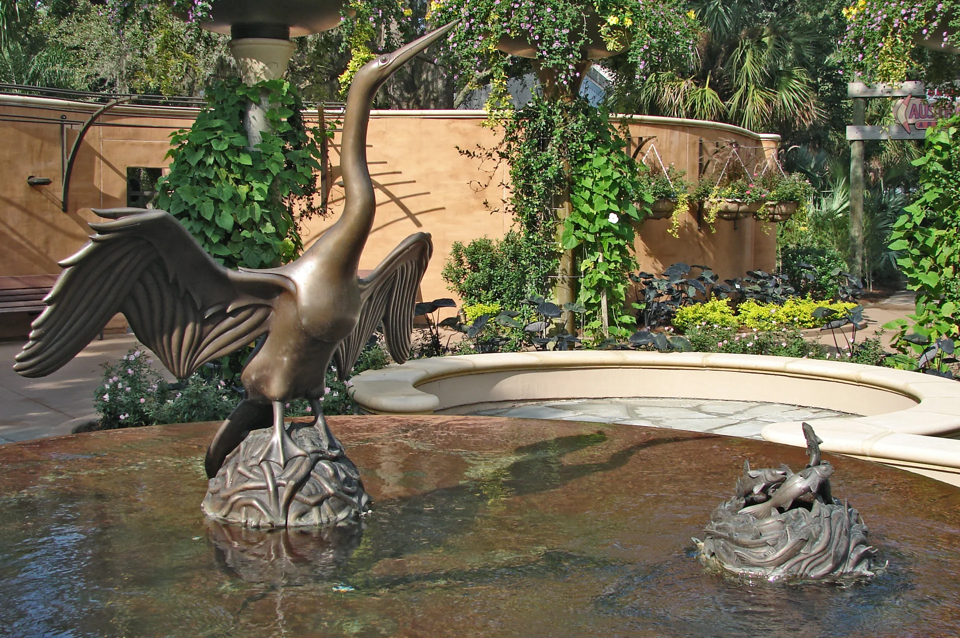 Anhinga & Mullet Fish