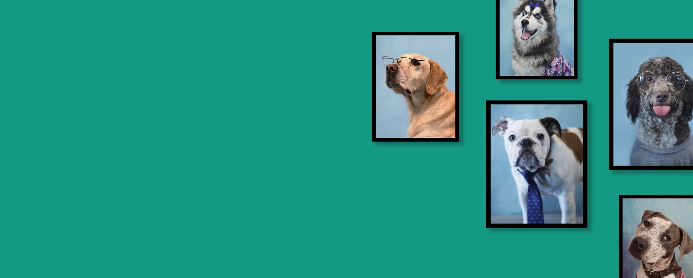 skewlpics_Bg.jpg