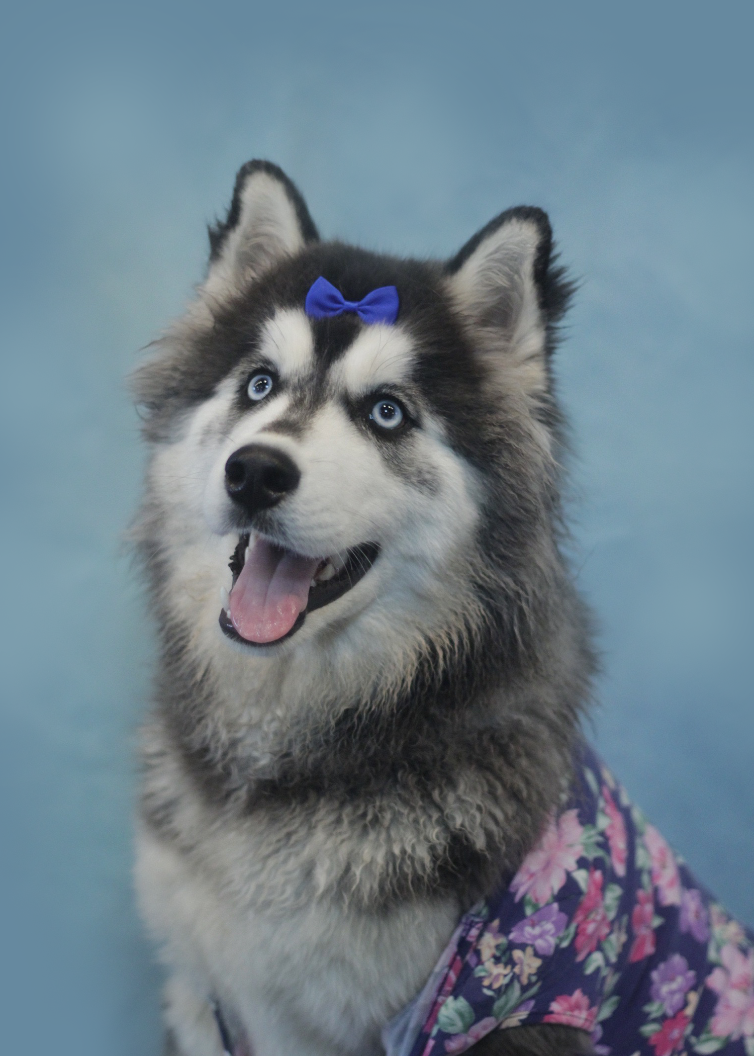 SchoolPortrait_5x7_0001_Layer-Comp-2.png