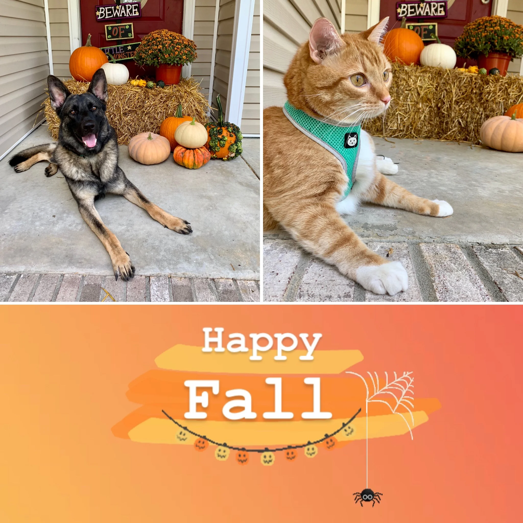 Our First "Feels Like Fall" North Carolina Weekend