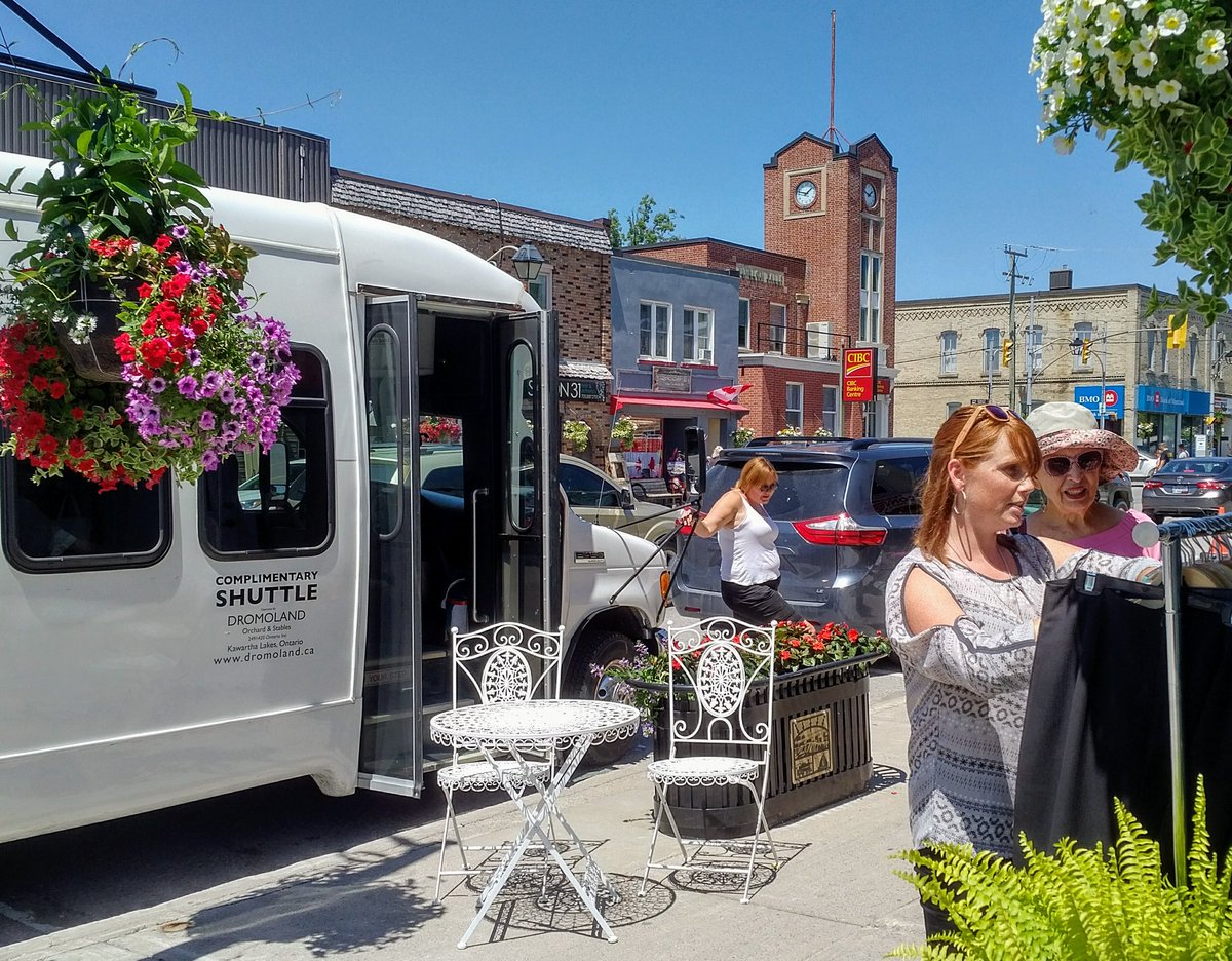 Stop and shop! Danielle VanGennip of Dunsford takes the opportunity to browse at Butterfly Boutique in Fenelon Falls, part of the first test run of the local weekly shopping bus. Photo - Mike Perry