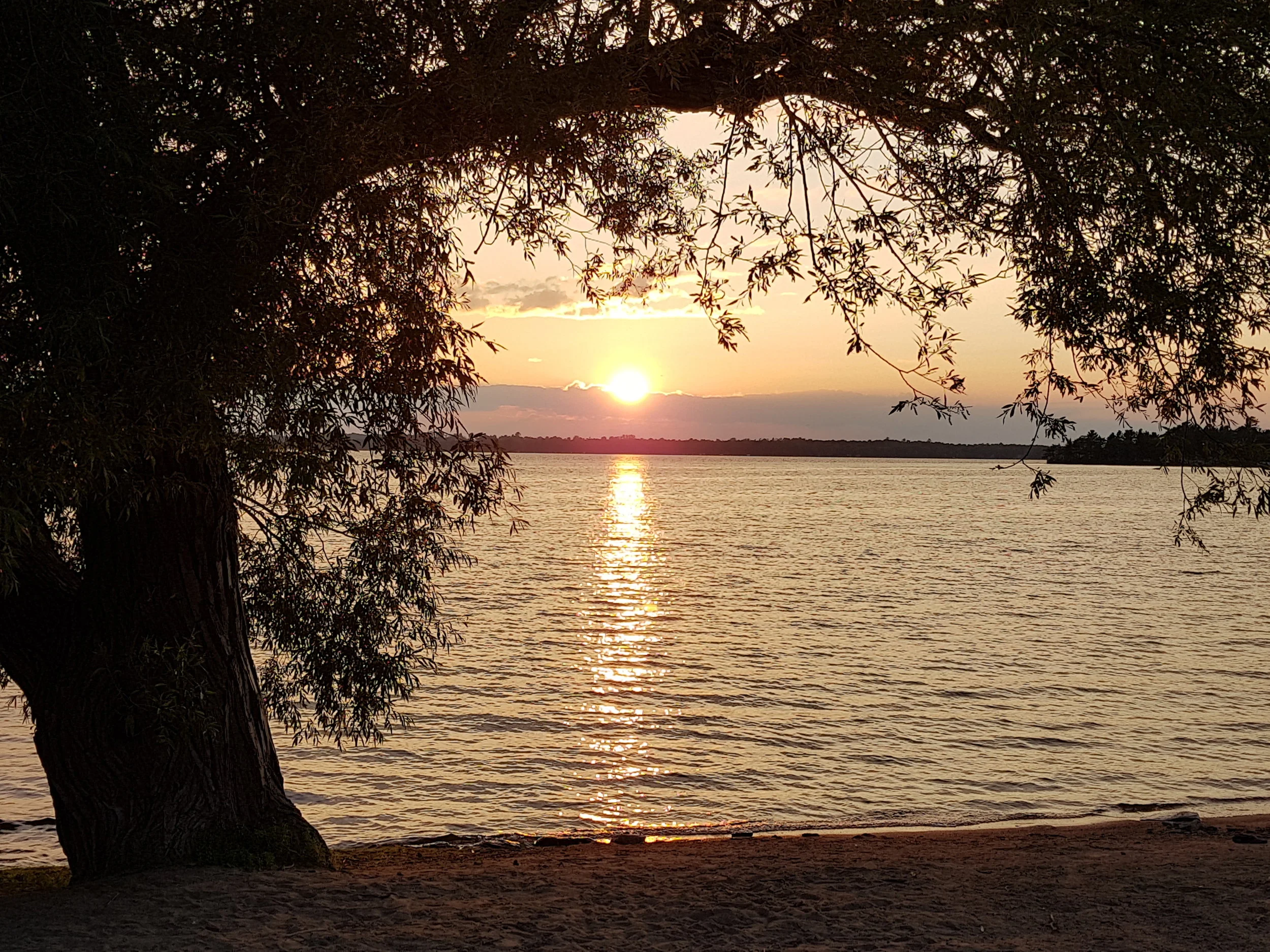 Captured by Cheryl Pearson