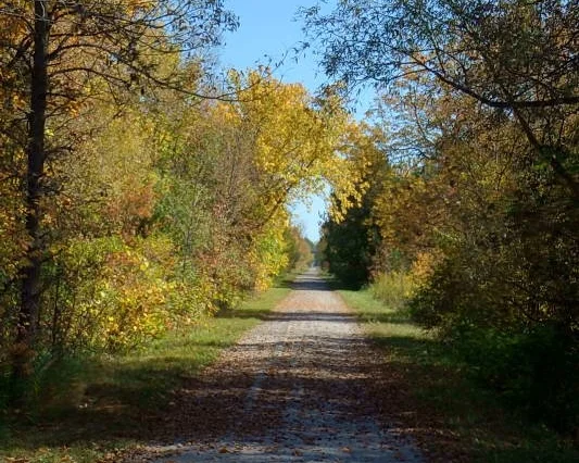 Photo credit: Ontario Bike Trails website