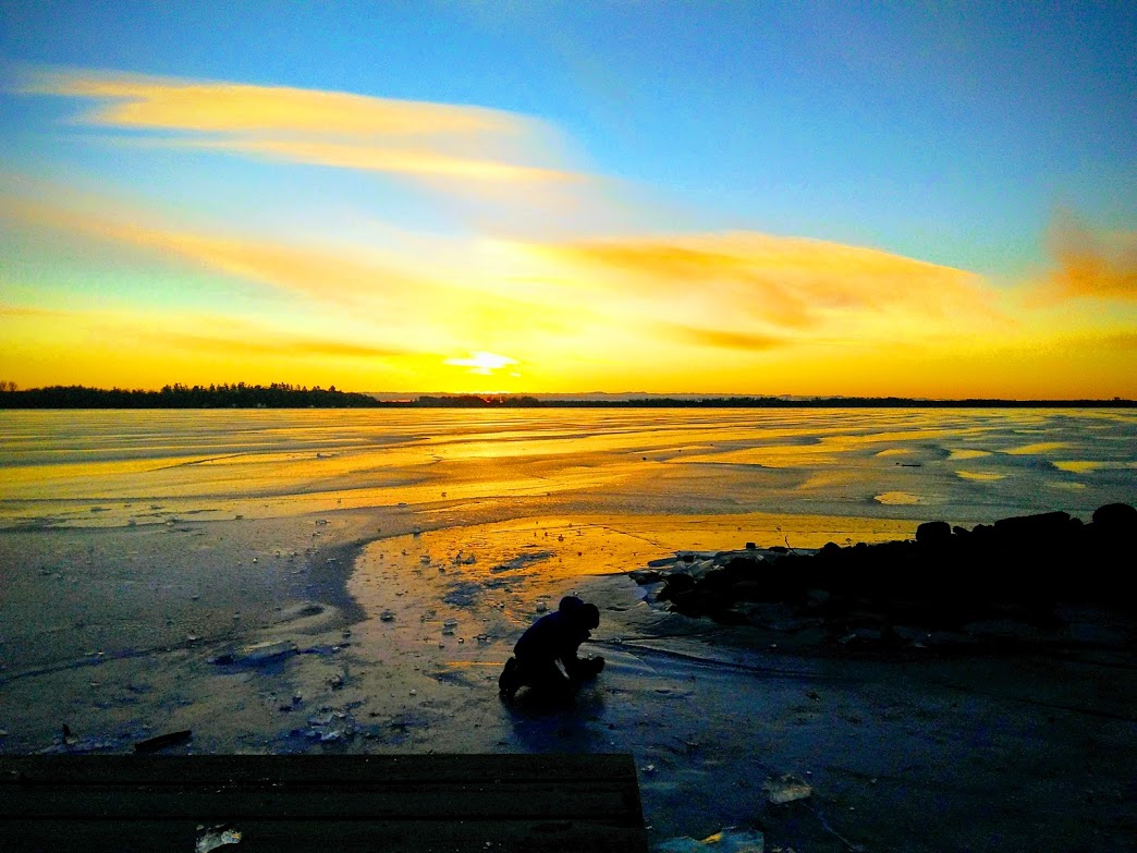 Submitted by Janet Goddard