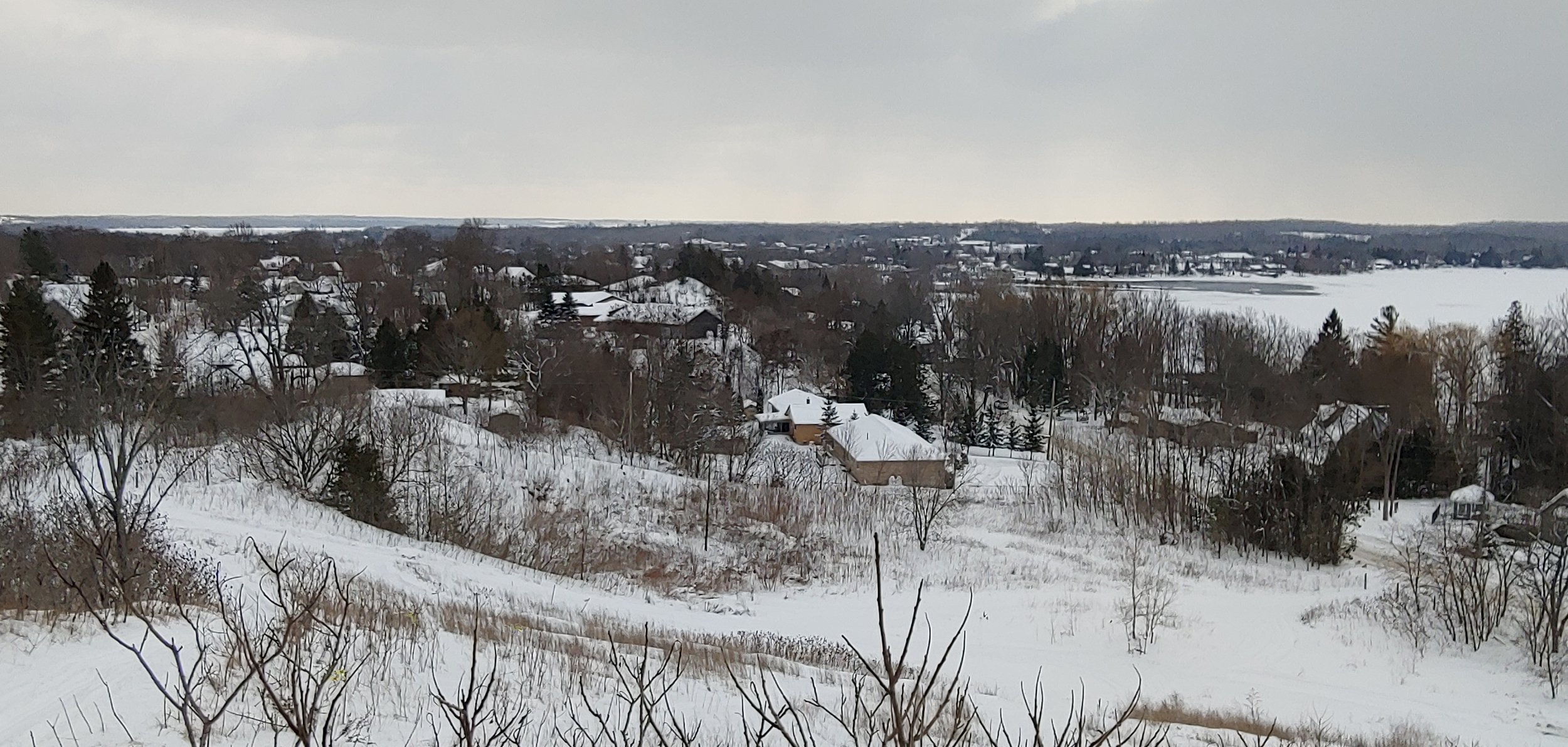 Submitted by J Leitch