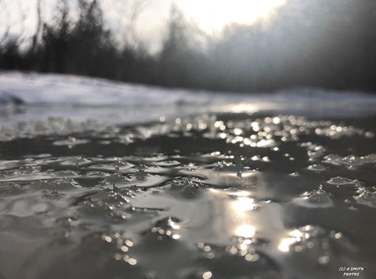 Submitted by Darlene Smith
