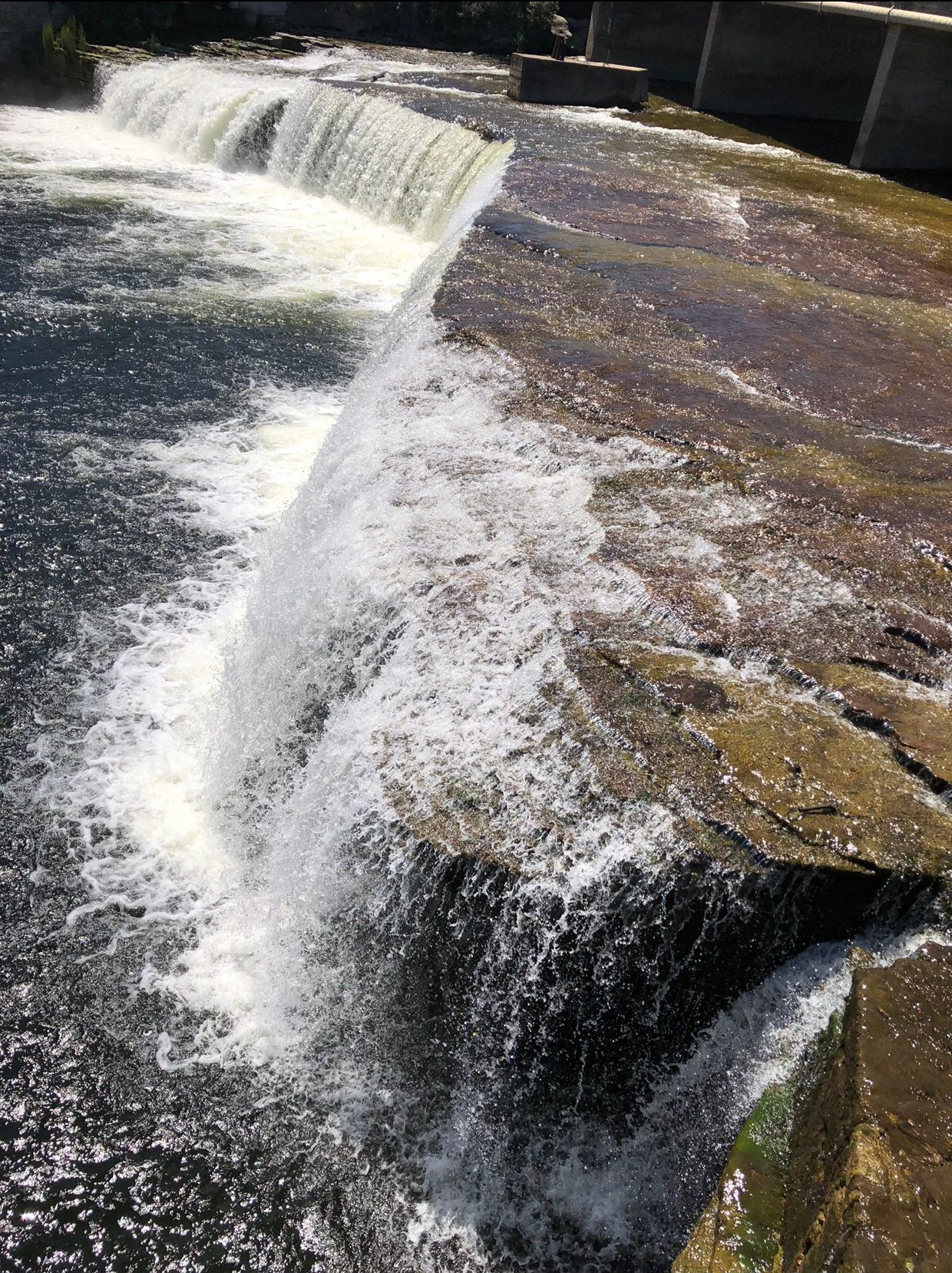 Pat Rose - Fenelon Falls.jpeg