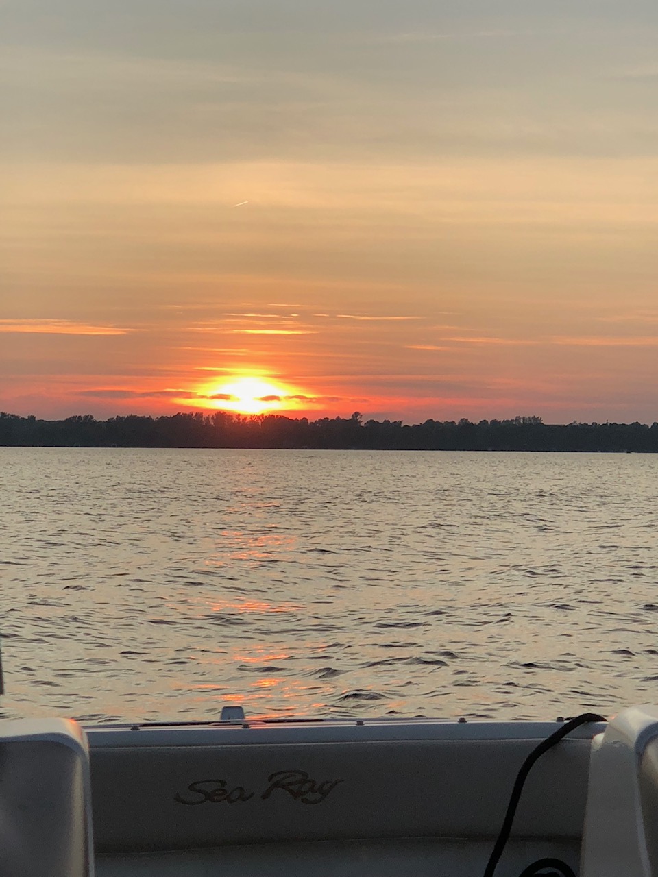Submitted by Sarah Spivey