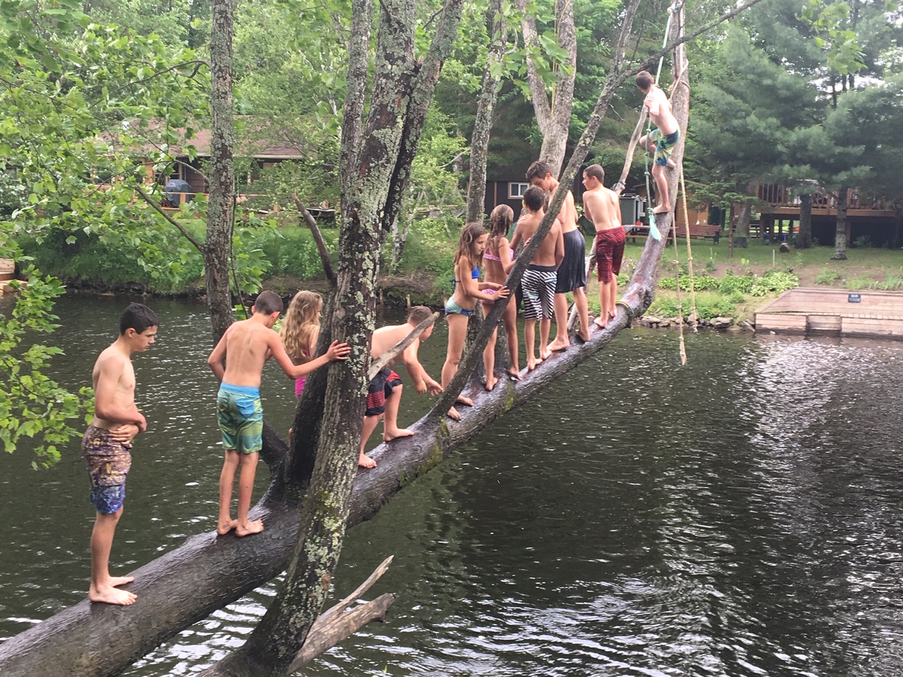 Submitted by Sarah Spivey