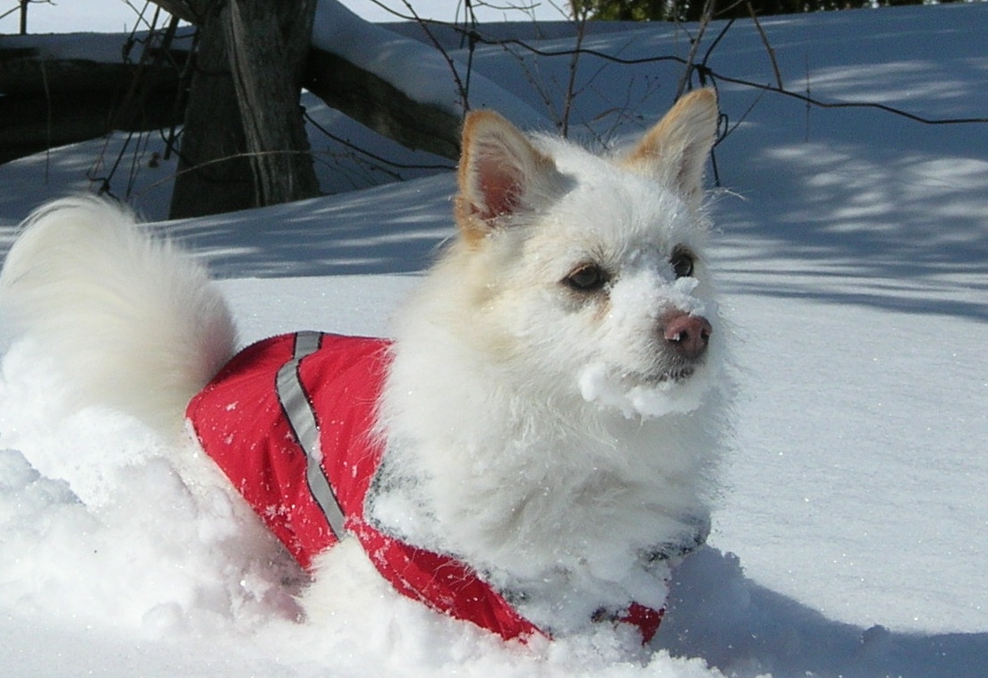 Submitted by Lynn Schneider