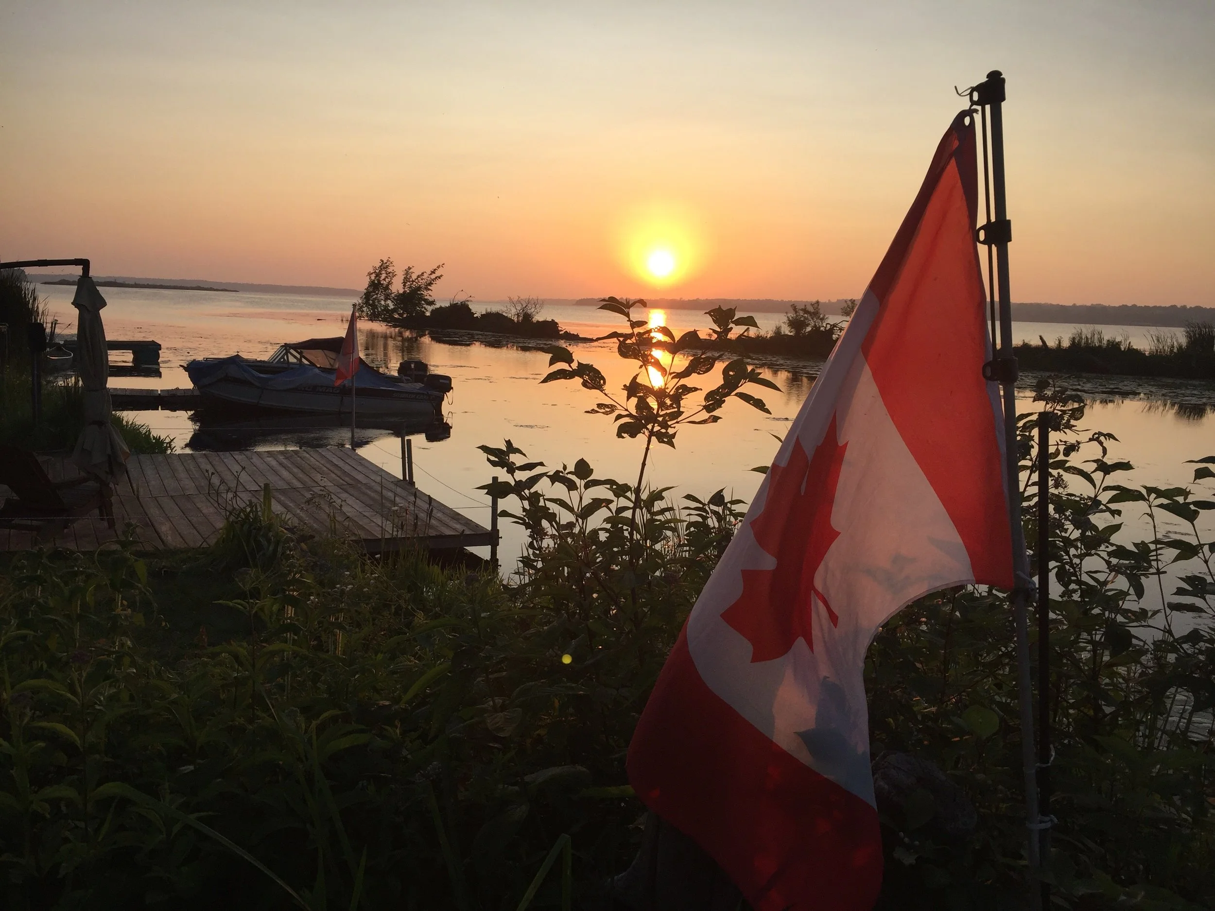 Submitted by Wanda Tsiakos