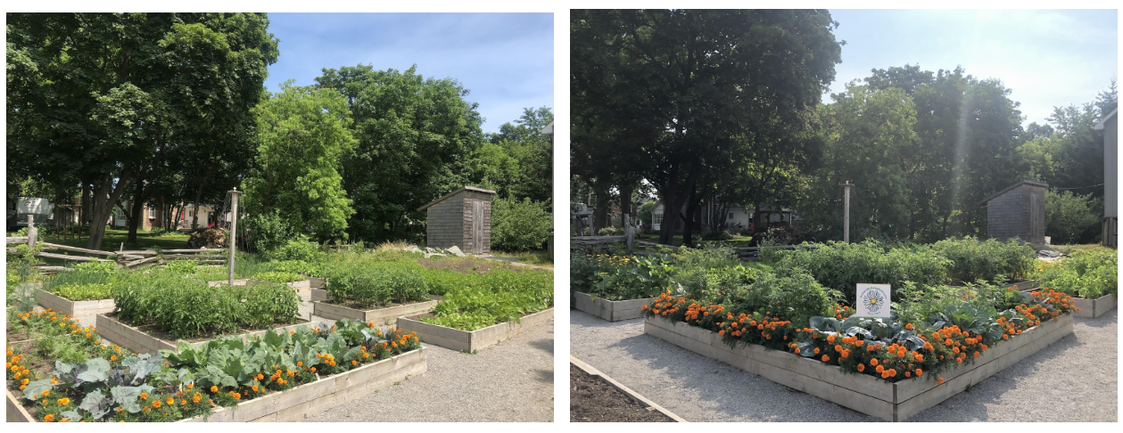 Victory Garden.png