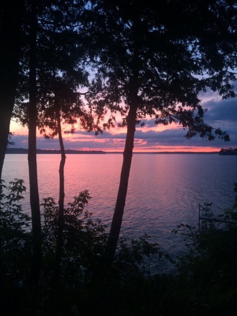 Submitted by Glen Morris