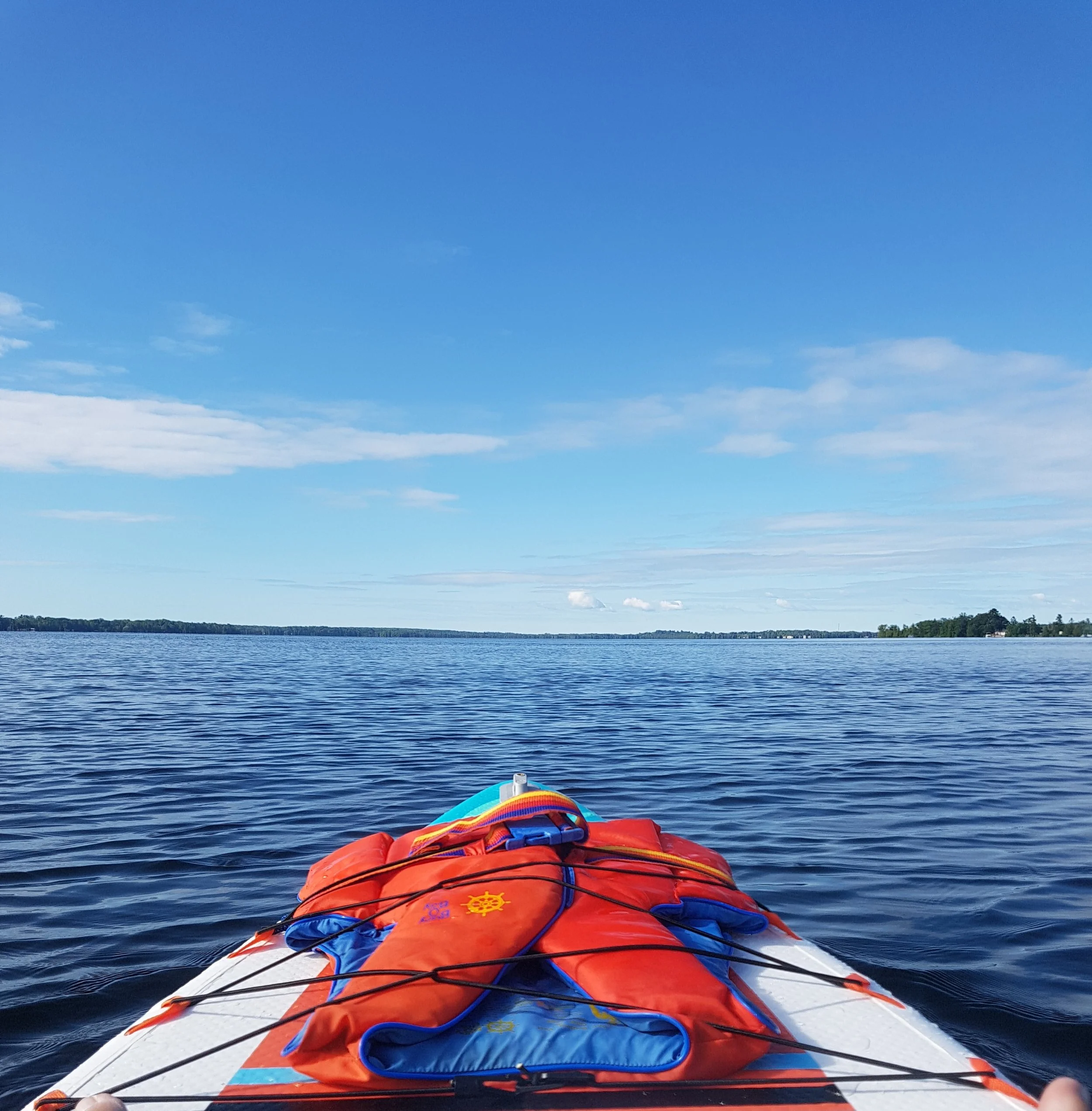 Submitted by Sheila Carey