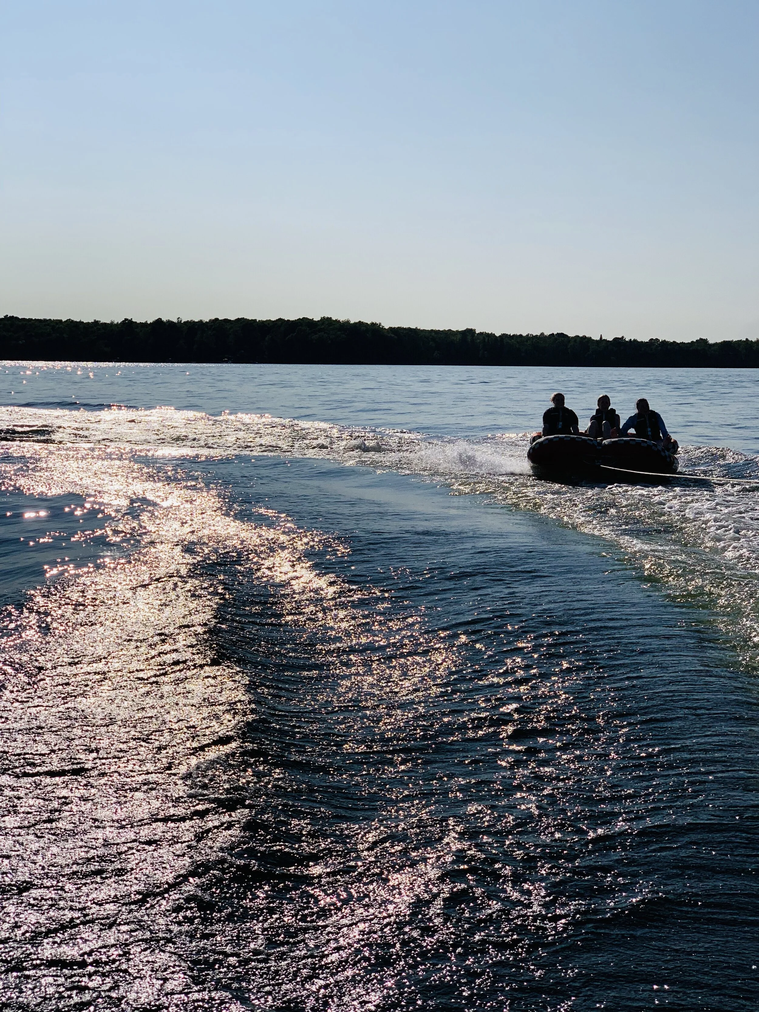 Submitted by Laura Longstreet-Forbes