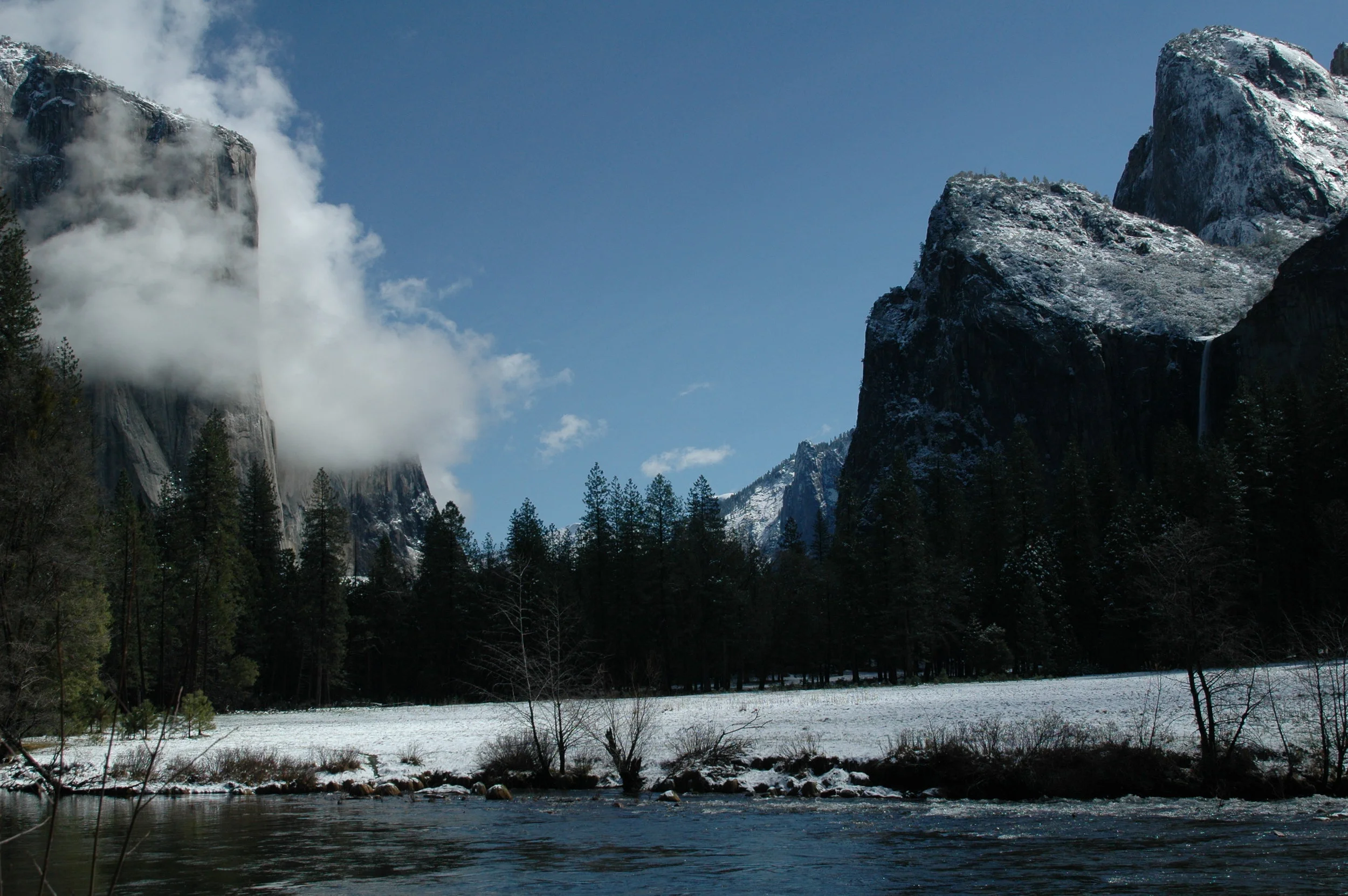 Yosemite Valley Floor.JPG