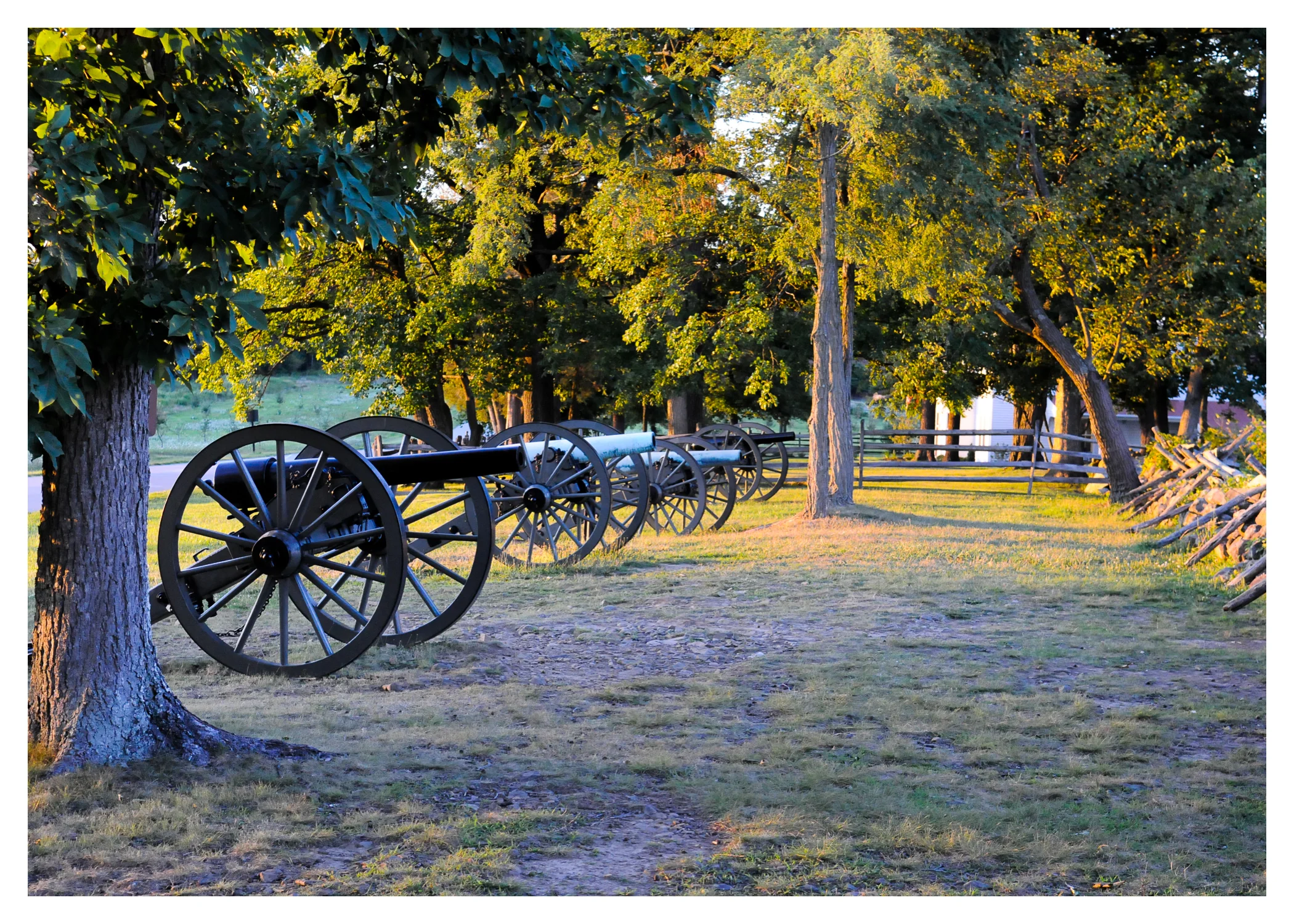 Canons.jpg