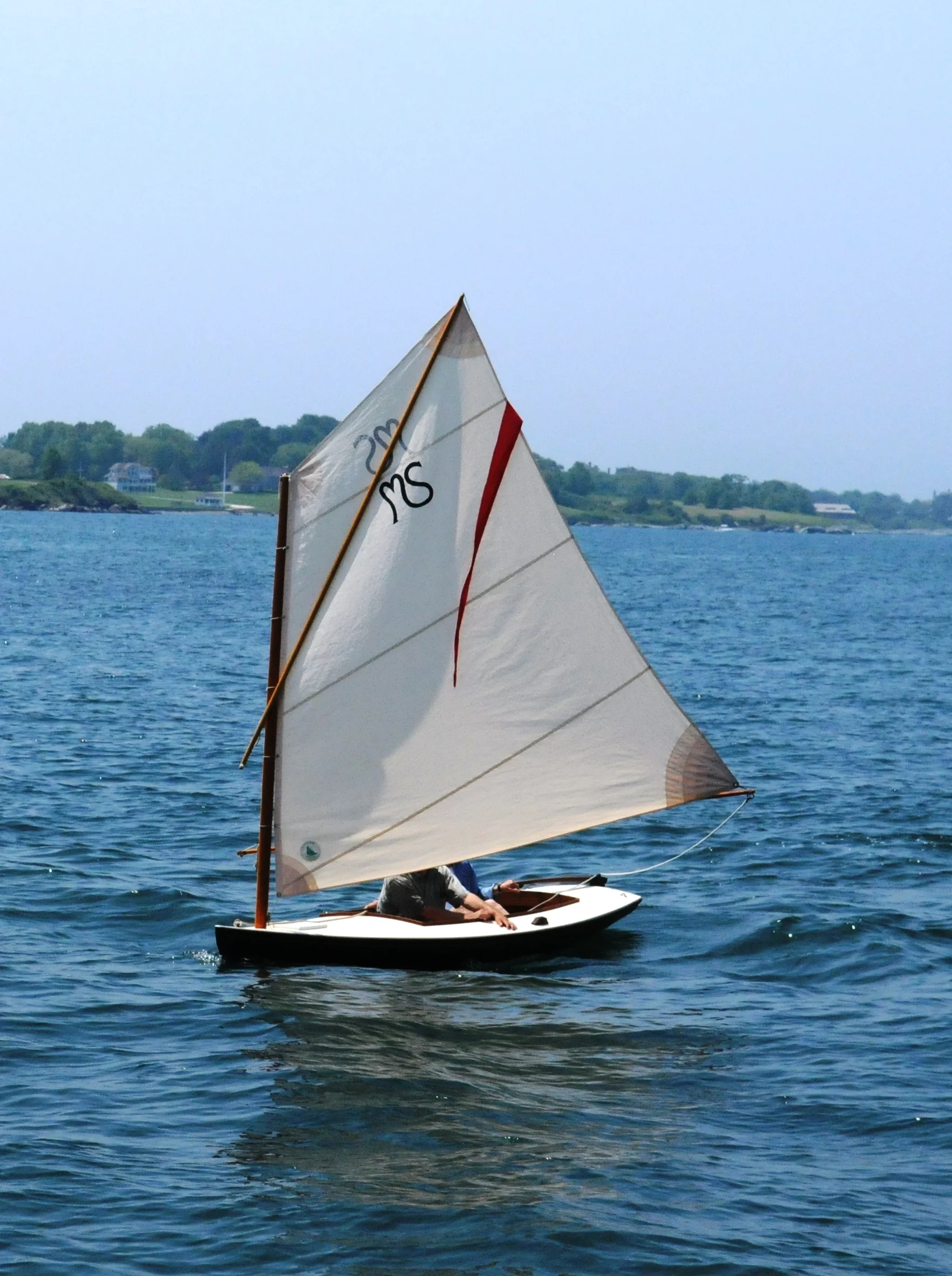 DaySailer.JPG