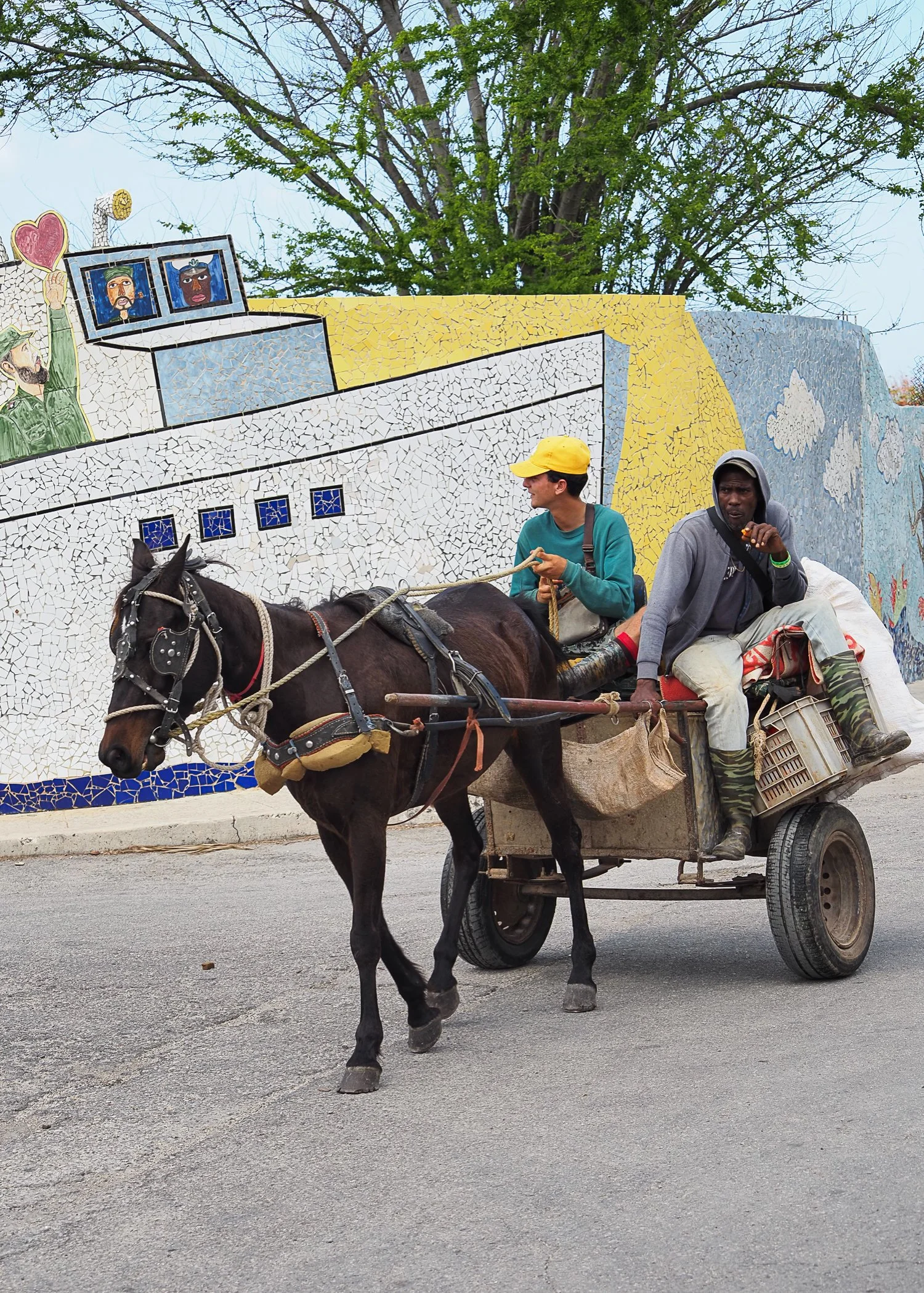 Donkey Cart