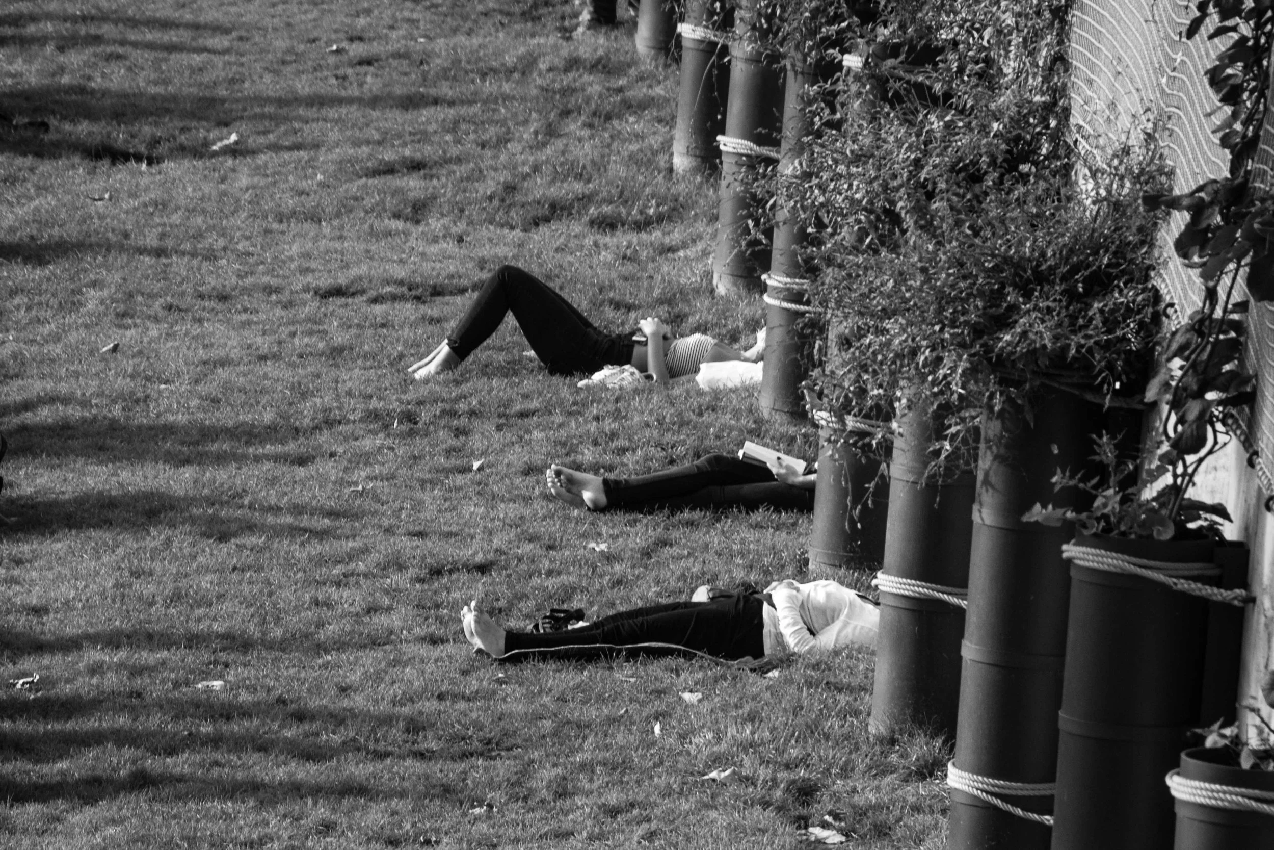 Legs by the Seine.jpg