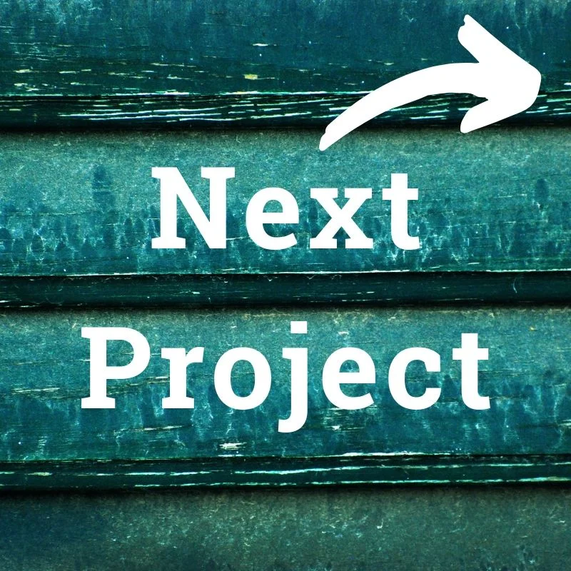 Niche - Next Project.jpg