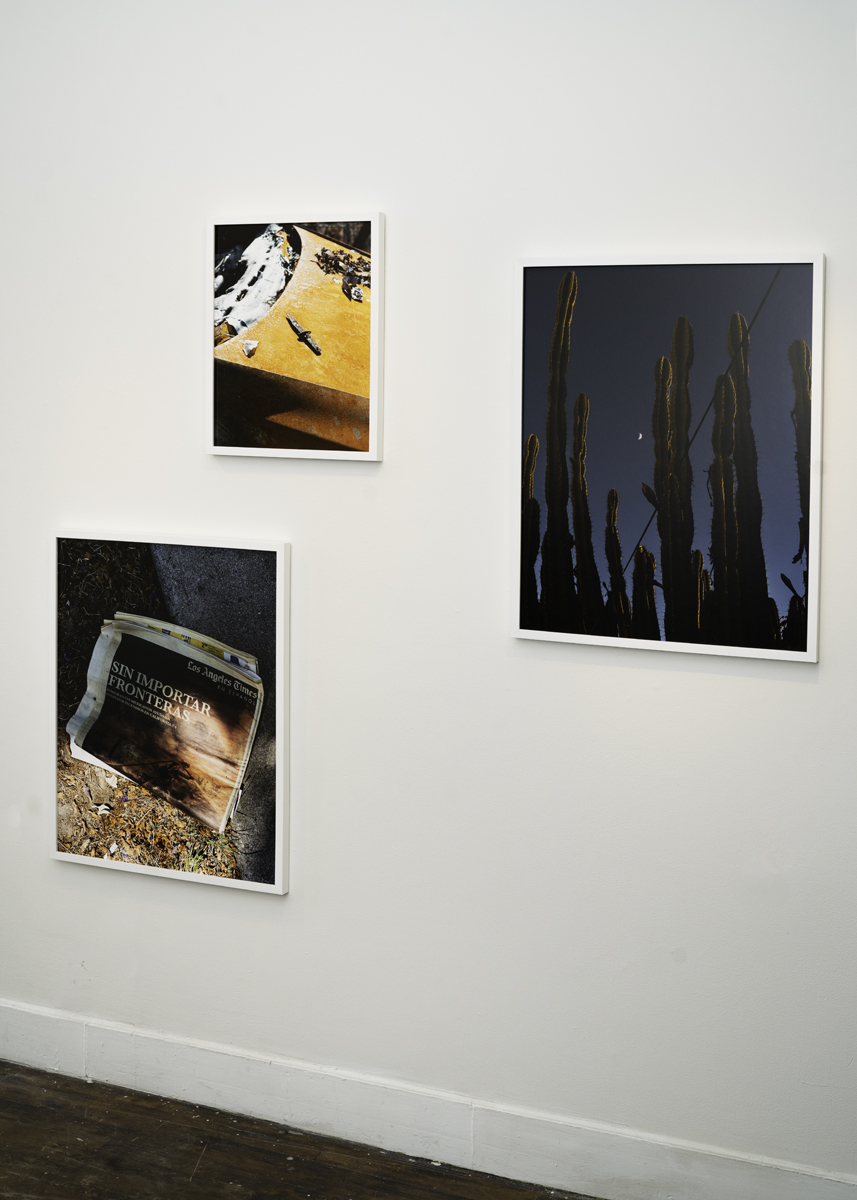  Due West Solo Exhibition Installation View, Aviary Gallery, 2019 