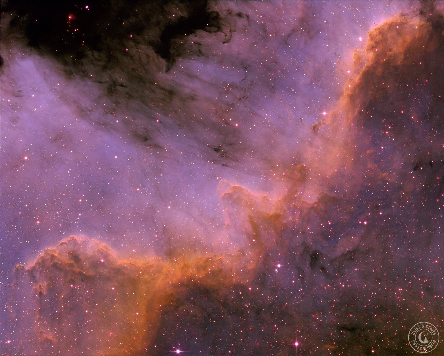 NGC7000 | The Cygnus Wall