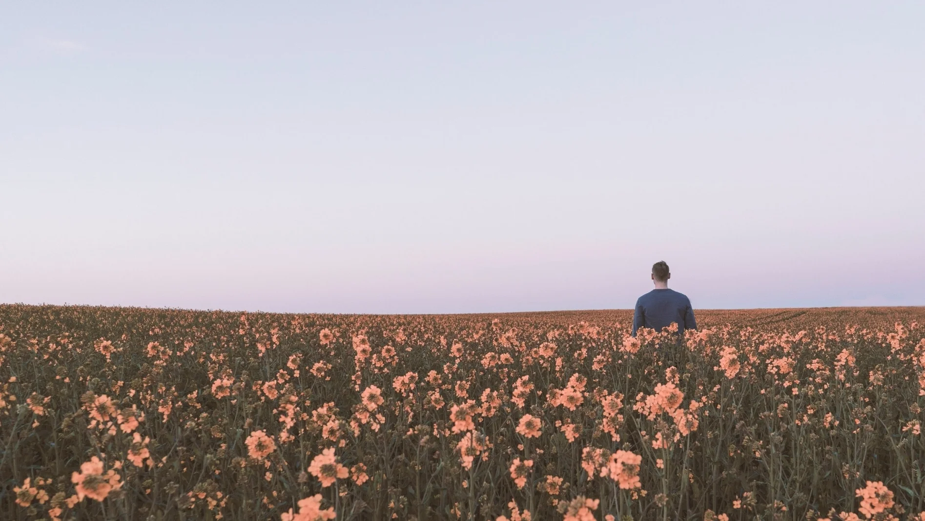 Man standing in a field of flowers_photo by daniel jensen.jpg