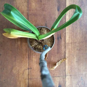 plant9.jpg