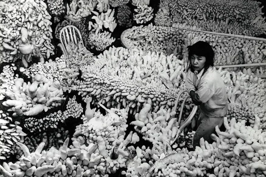 SOFT SCULPTURE SURVEY: YAYOI KUSAMA