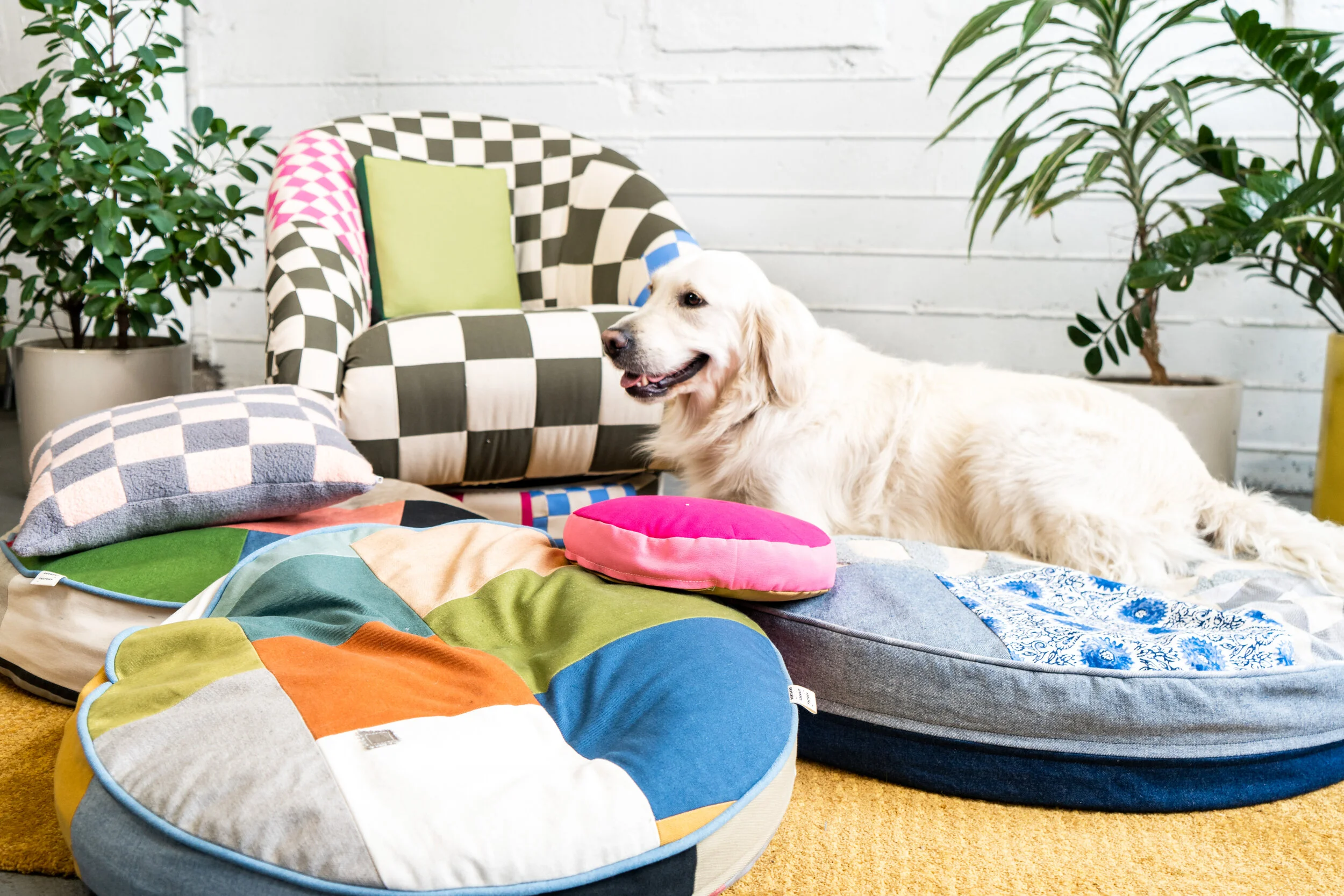 ZERO WASTE PET BEDS