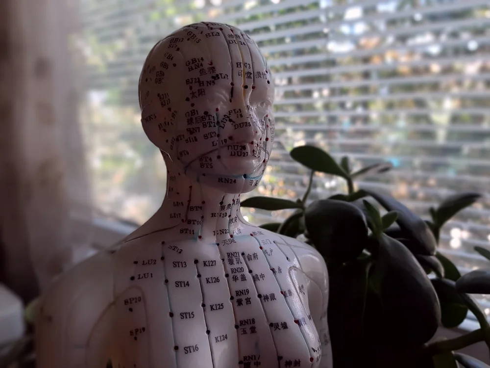 City Garden Community Acupuncture